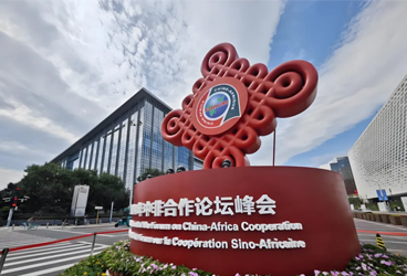 Go to Africa | The "double cannon" of demographic dividend and digital transformation