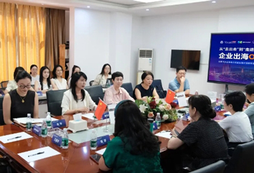 A series of activities for high-quality enterprises and high-quality products going overseas | "Theme Salon of Practical Guidelines for Enterprises Going Overseas ODI" concluded successfully
